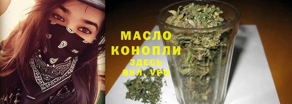 индика Дмитров