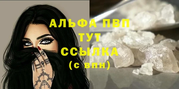 хмурый Дмитровск