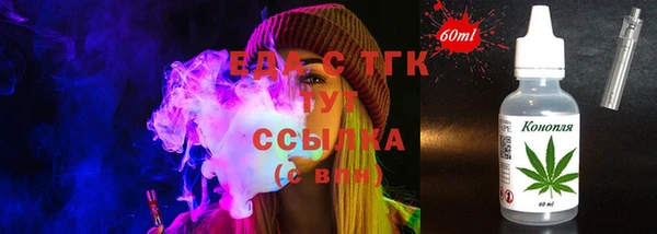 индика Дмитров