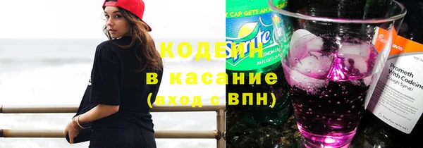 индика Ельня