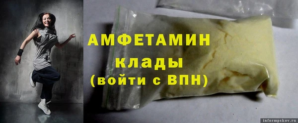 индика Дмитров