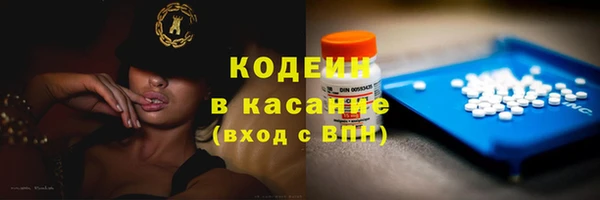 индика Ельня