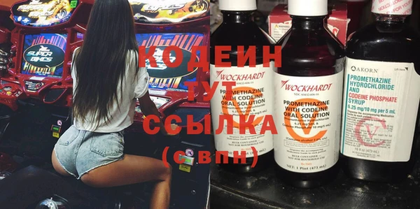 индика Дмитров