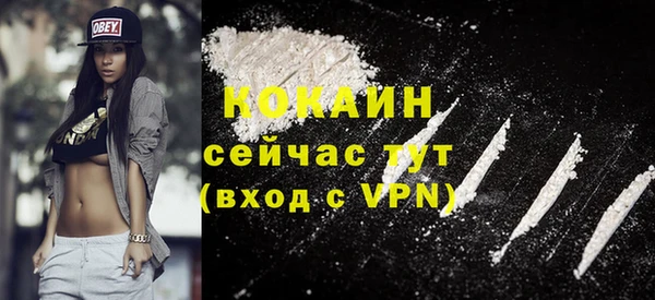 индика Ельня