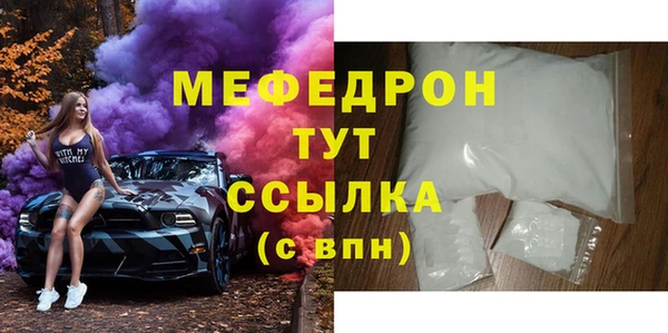 индика Дмитров