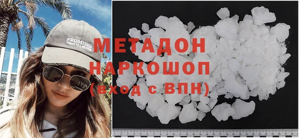 индика Ельня