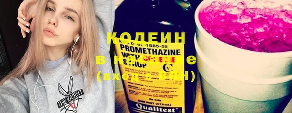 индика Дмитров