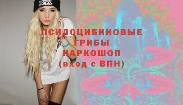 хмурый Дмитровск