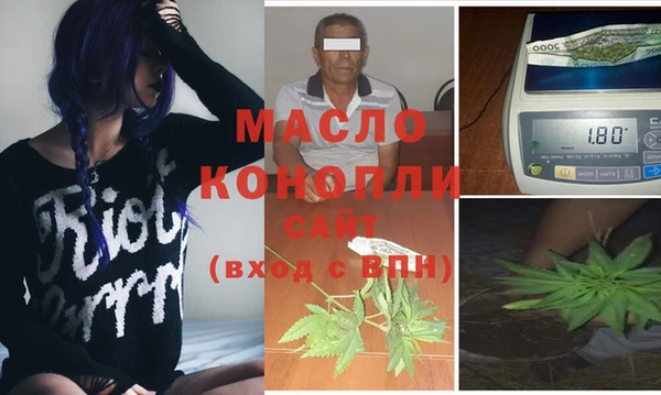 индика Ельня