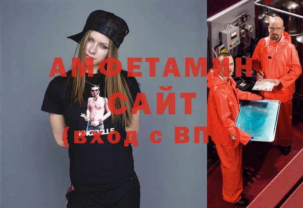 индика Дмитров