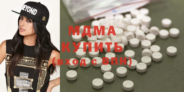 индика Дмитров